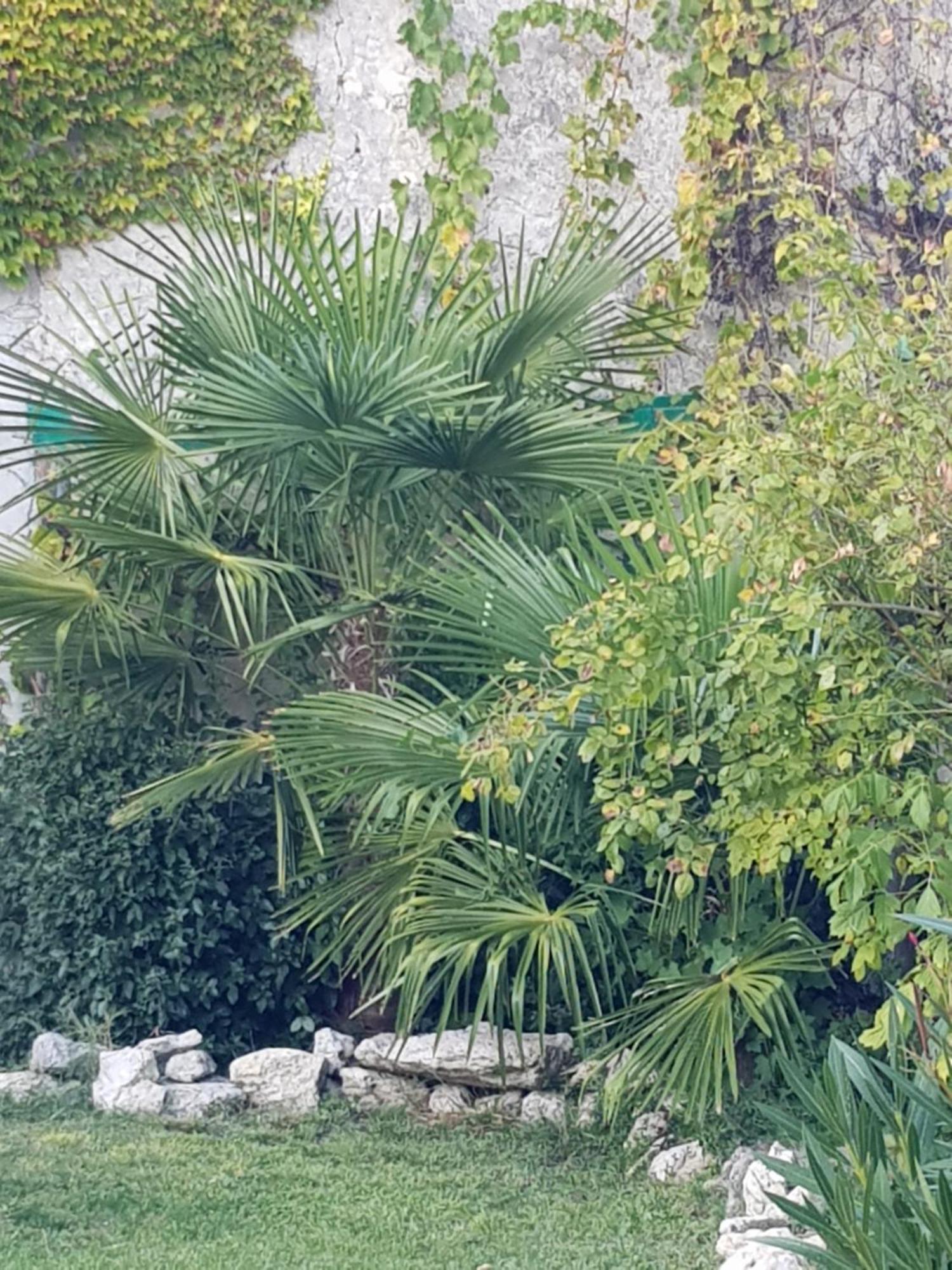 Villefranche-du-Queyran La Maison Malabar المظهر الخارجي الصورة
